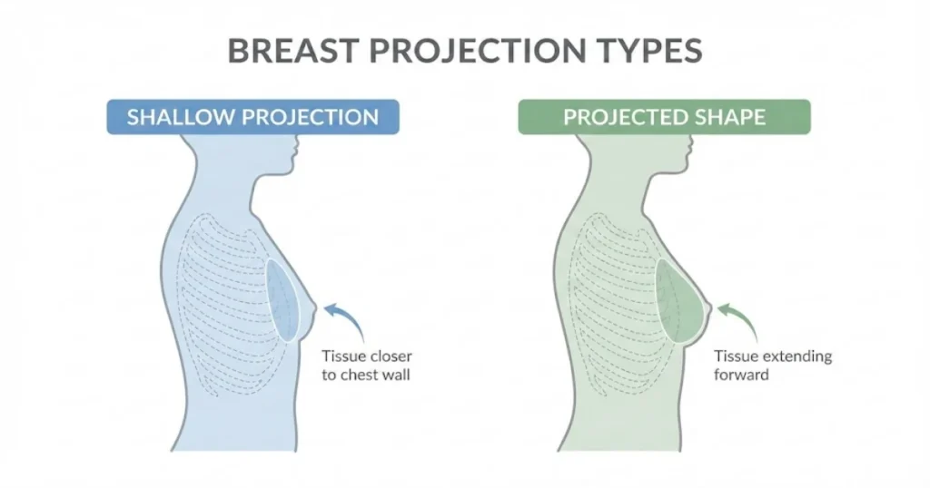 How to Estimate Bra Cup Size From Photo (Visual Guide + Tool) 2026