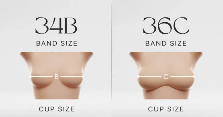 Breast size comparison visual showing 34B vs 36C with band and cup differences labeled