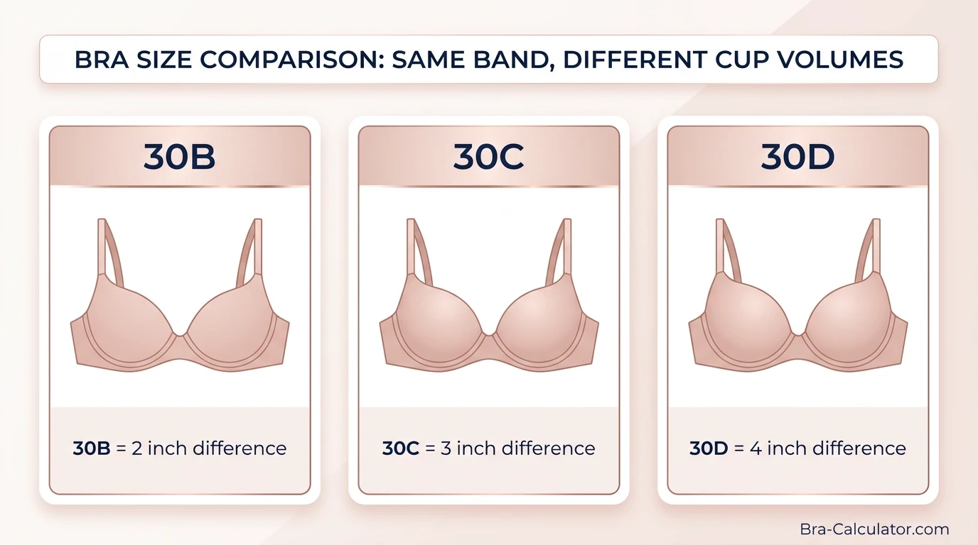 Side-by-side diagram showing 30B and 30D bra sizes — two full cup sizes apart on the same 30-inch band, with 30C shown as the correct intermediate size between them